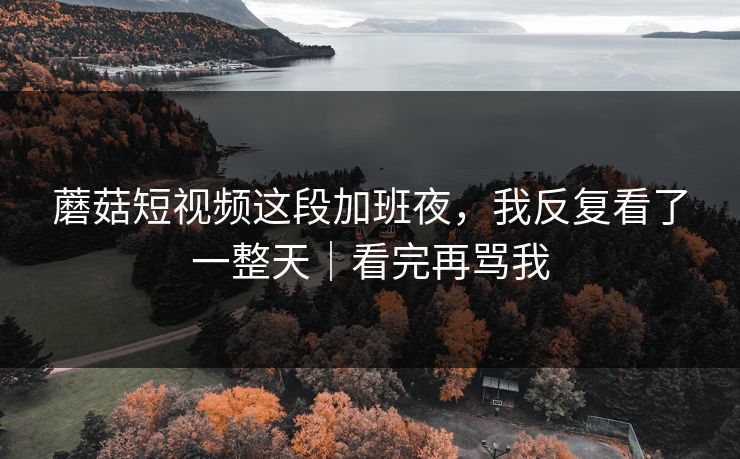 蘑菇短视频这段加班夜，我反复看了一整天｜看完再骂我